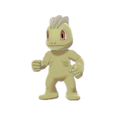 Buy Machop in Brilliant Diamond & Shining Pearl